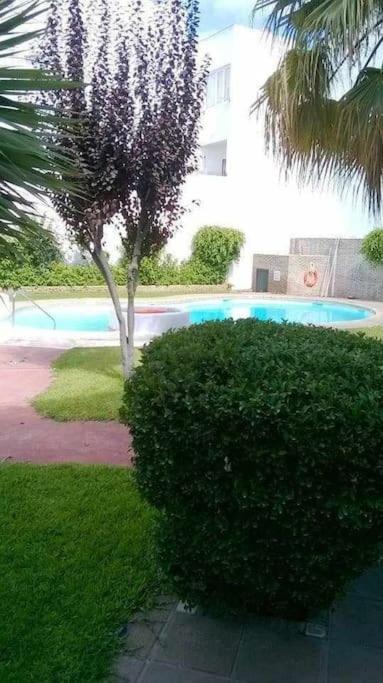 Apartamento Echando Anclas Barbate Exterior photo