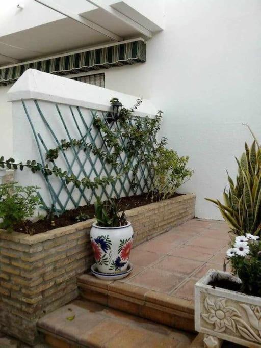Apartamento Echando Anclas Barbate Exterior photo